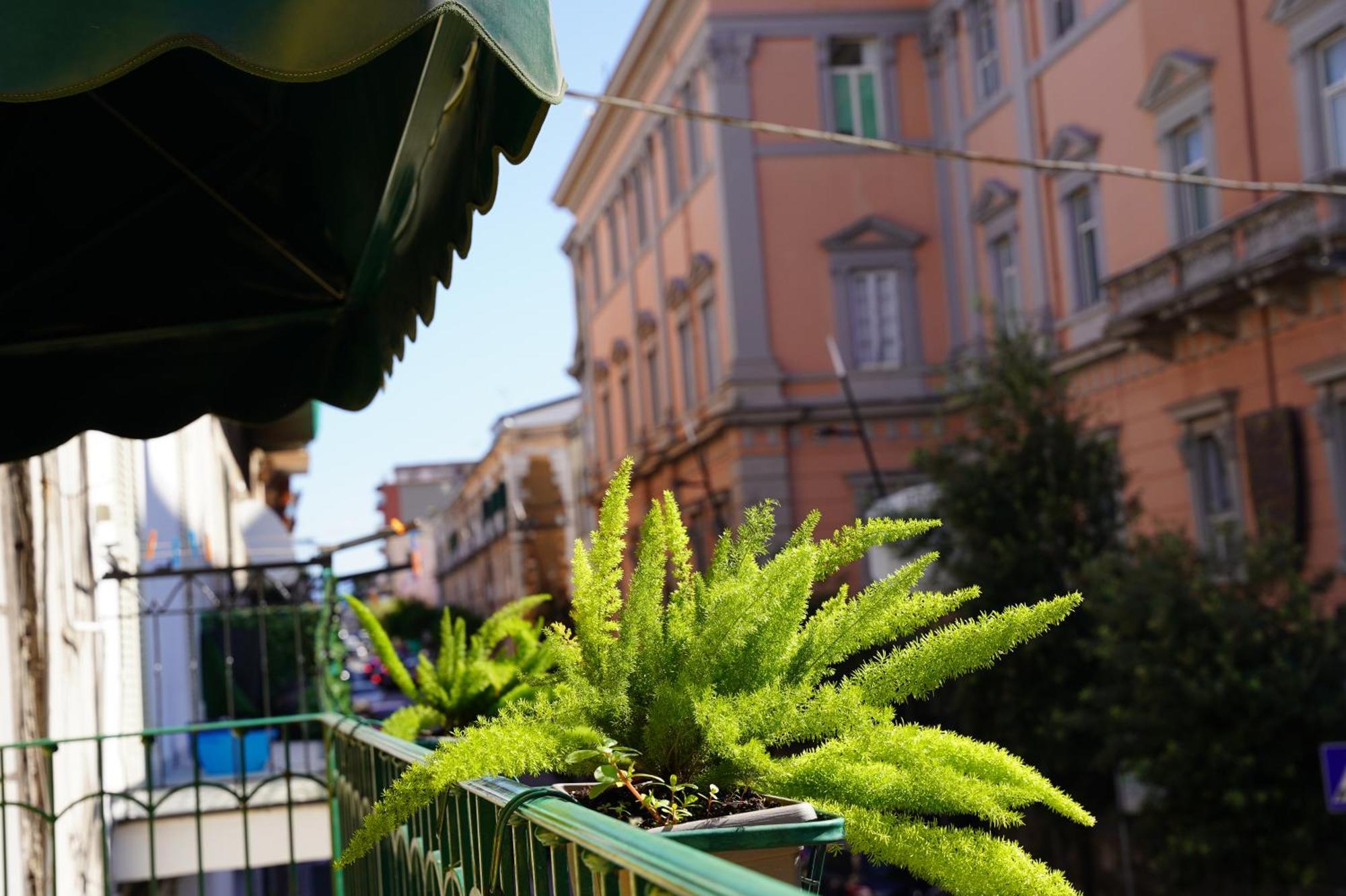 Bed and Breakfast La Maison Di Donna Elena Cercola Exterior foto